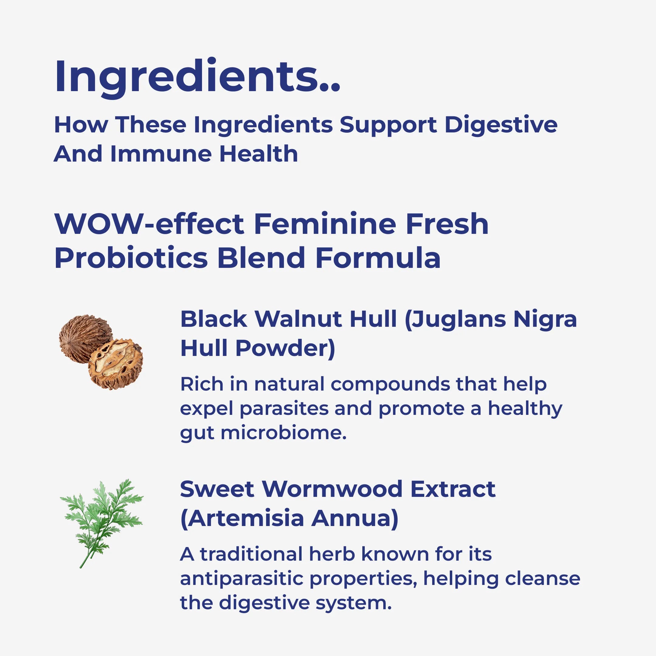 Para911 Intestinal Parasite Cleanse