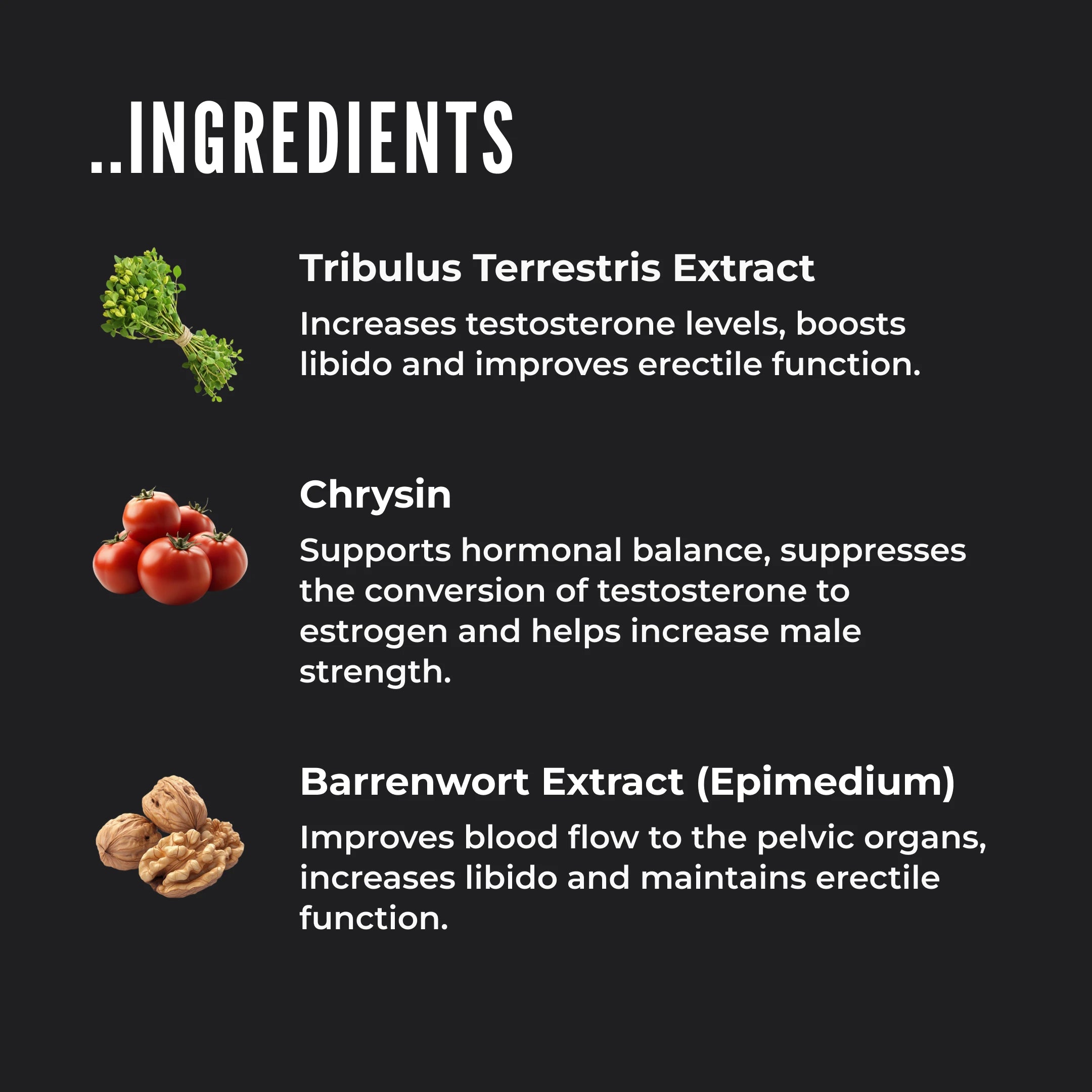 ERECTONINMD Testosterone
