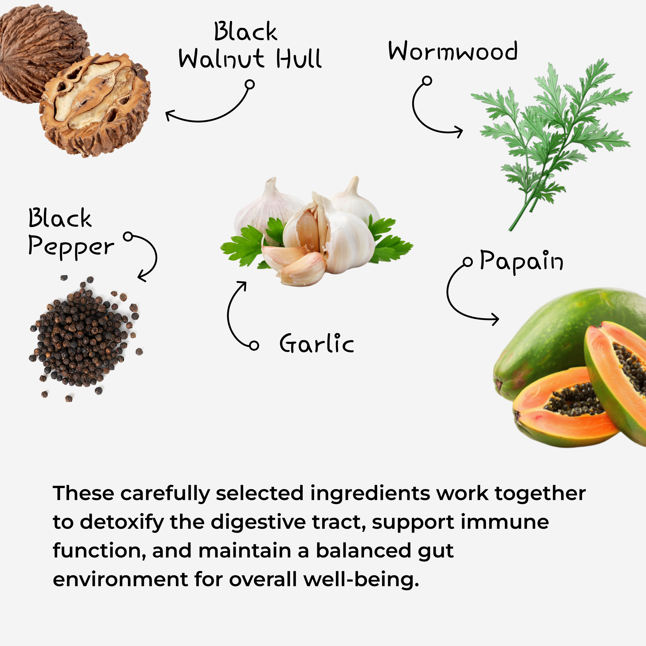 ParaMD Intestinal Parasite Cleanse