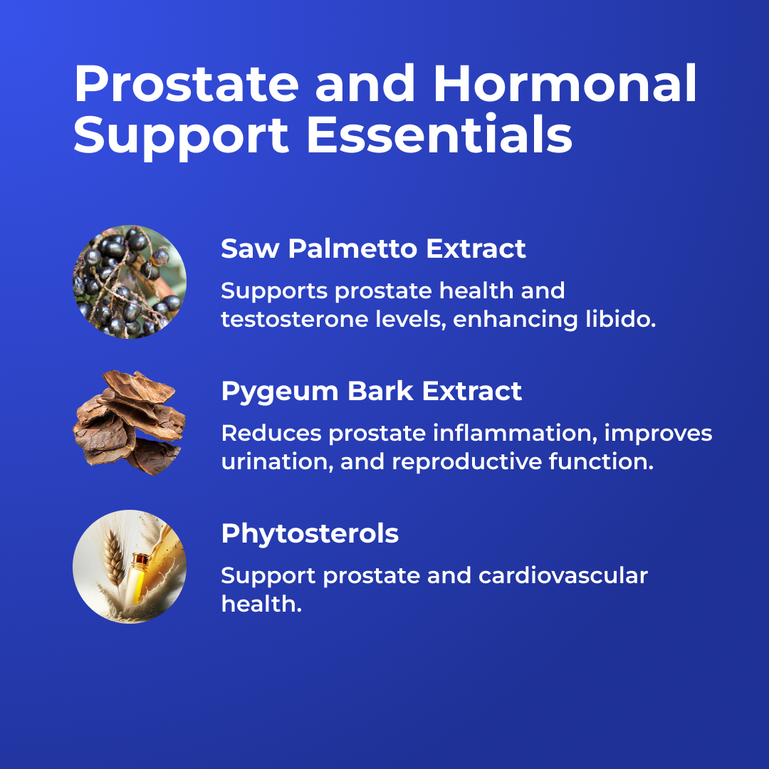 Prostate Multiphase Support by RevitMe