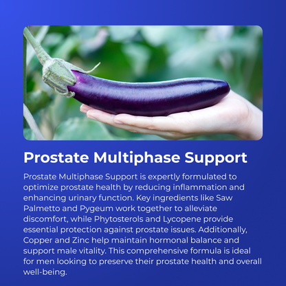 Prostate Multiphase Support by RevitMe