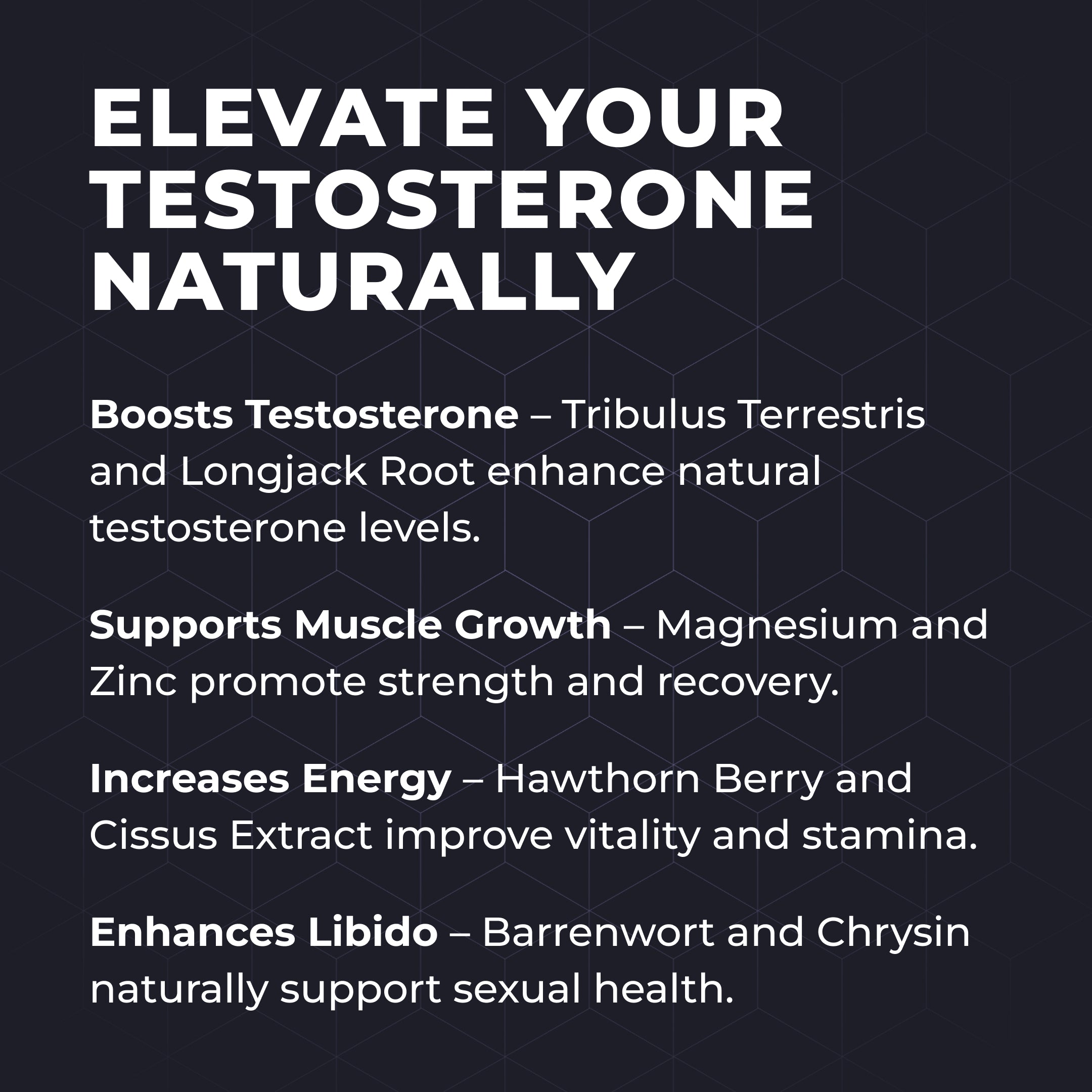 StallionX Testosterone Boost