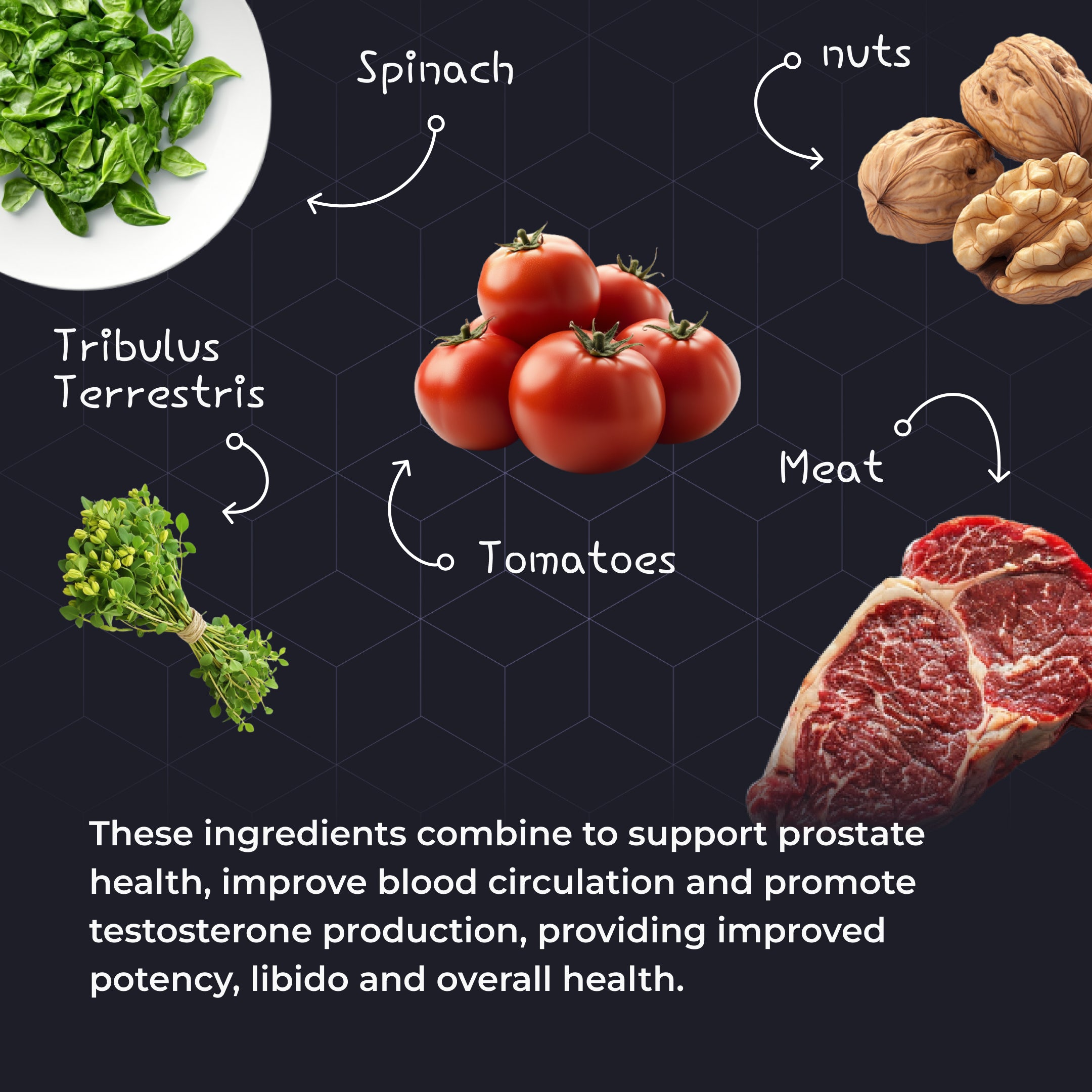 StallionX Testosterone Boost